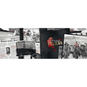 PROJET PELICAN - ÉCRAN