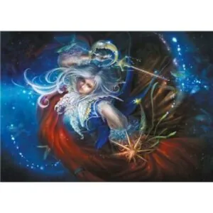 PUZZLE SCHMIDT : IN THE STARLIGHT - 1000 PIECES