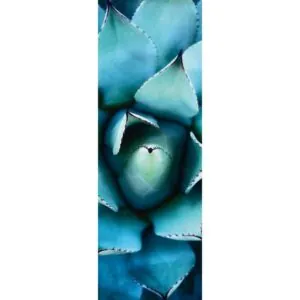 PUZZLE SCHMIDT : ECHEVERIA - 1000 PIECES