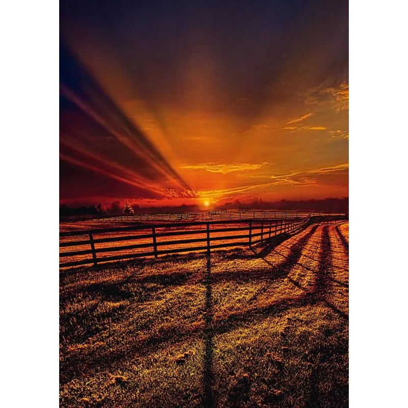 PUZZLE SCHMIDT : COUCHER DE SOLEIL - 1000 PIECES – Image 2