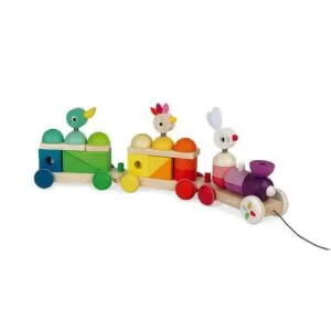 TRAIN GEANT MULTICOLORE ZIGOLOS