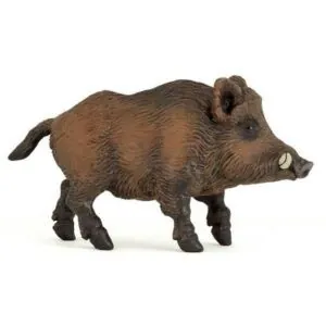 SANGLIER - PAPO