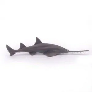 POISSON SCIE - PAPO