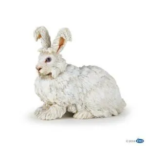 LAPIN ANGORA - PAPO