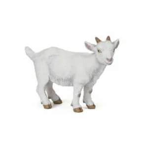 CHEVREAU - PAPO