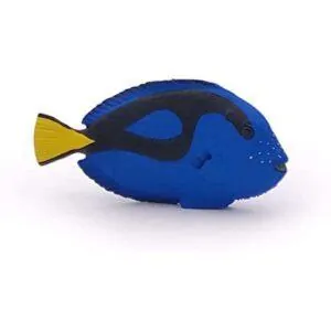 POISSON CHIRURGIEN - PAPO