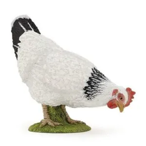 POULE BLANCHE PICORANT - PAPO