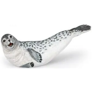 PHOQUE - PAPO