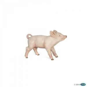 COCHONNET FEMELLE - PAPO