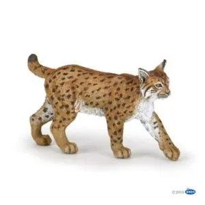 LYNX - PAPO