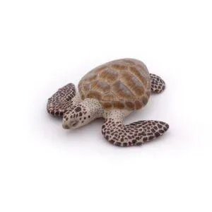 TORTUE CAOUANNE - PAPO
