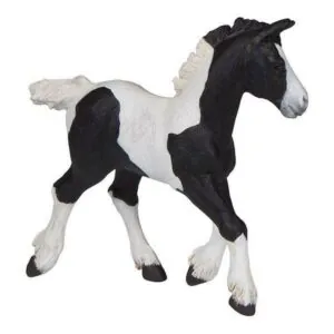 POULAIN COB PIE NOIR - PAPO