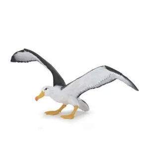 ALBATROS - PAPO