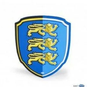 BOUCLIER MOUSSE CHEVALIER LION