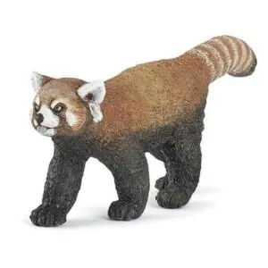 PANDA ROUX - PAPO