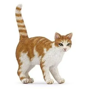 CHAT ROUX - PAPO