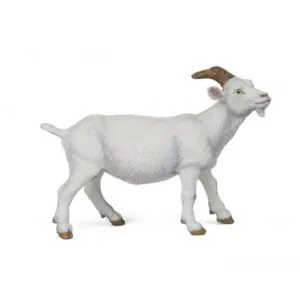 CHEVRE BLANCHE - PAPO
