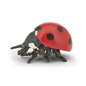 COCCINELLE - PAPO