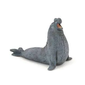 ELEPHANT DE MER - PAPO