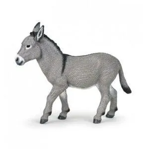 ANE DE PROVENCE - PAPO