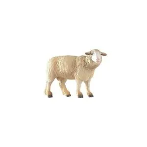 BREBIS MERINOS - PAPO