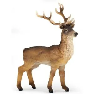 CERF - PAPO