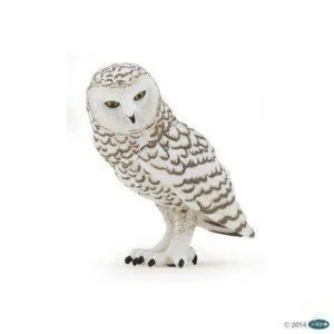 HARFANG DES NEIGES - PAPO