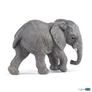 JEUNE ELEPHANT D'AFRIQUE - PAPO