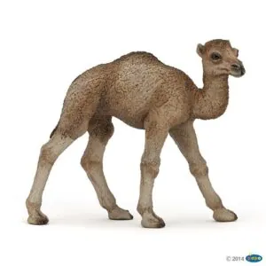 BEBE DROMADAIRE - PAPO