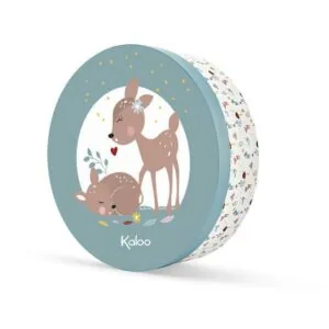 MES PREMIERS SOUVENIRS HOME - KALOO