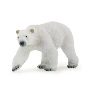 OURS POLAIRE - PAPO
