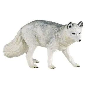 RENARD POLAIRE - PAPO