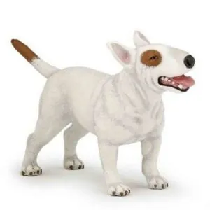 BULL TERRIER - PAPO