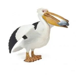 PELICAN - PAPO