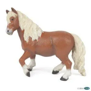 PONEY SHETLAND - PAPO