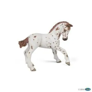 POULAIN APPALOOSA BRUN - PAPO