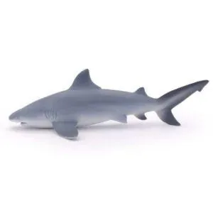 REQUIN BOULEDOGUE - PAPO