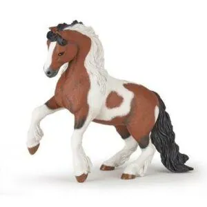 CHEVAL COB IRLANDAIS - PAPO