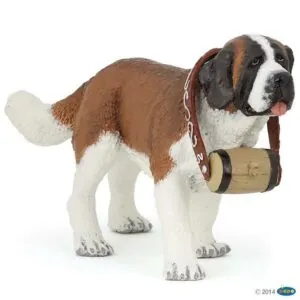 SAINT BERNARD - PAPO