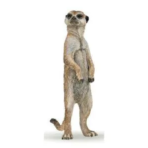 SURICATE DEBOUT - PAPO