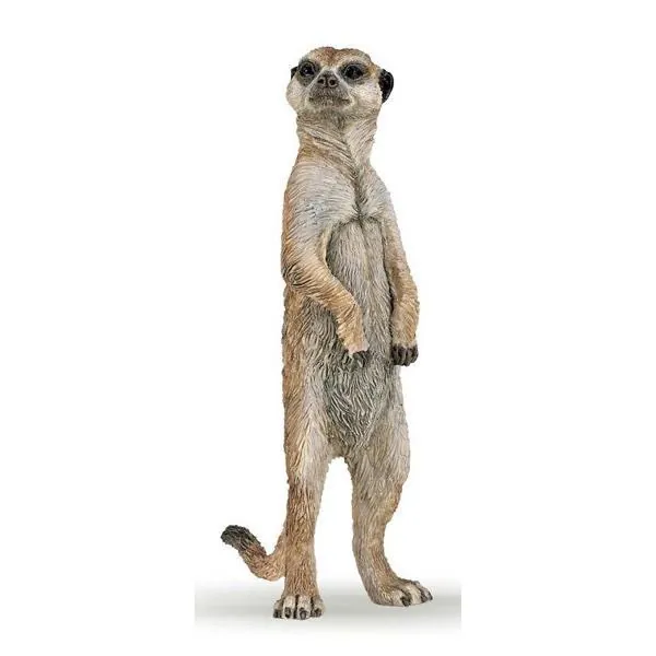 SURICATE DEBOUT - PAPO