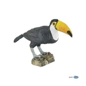 TOUCAN - PAPO