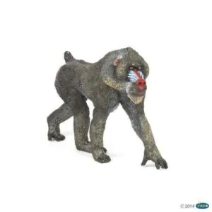 SINGE MANDRILL - PAPO