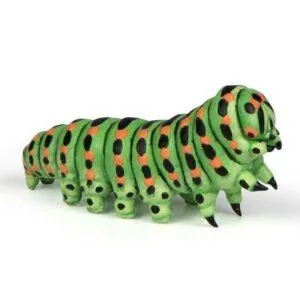 CHENILLE - PAPO