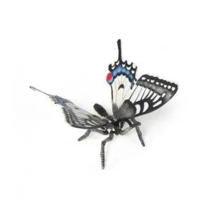 PAPILLON MACHAON - PAPO