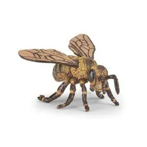 ABEILLE - PAPO