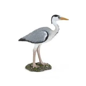 HERON CENDRE - PAPO