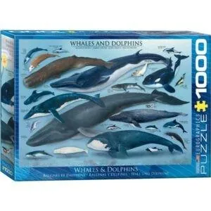 PUZZLE EUROGRAPHICS : BALEINES ET DAUPHINS - 1000 PIECES