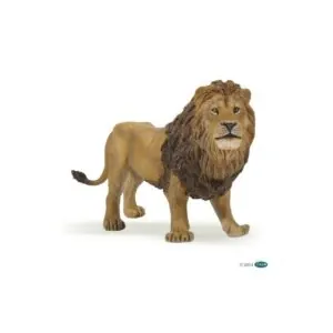 LION-PAPO