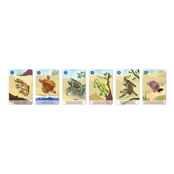 JEU DES 7 FAMILLES : LE REGNE ANIMAL-JANOD – Image 8